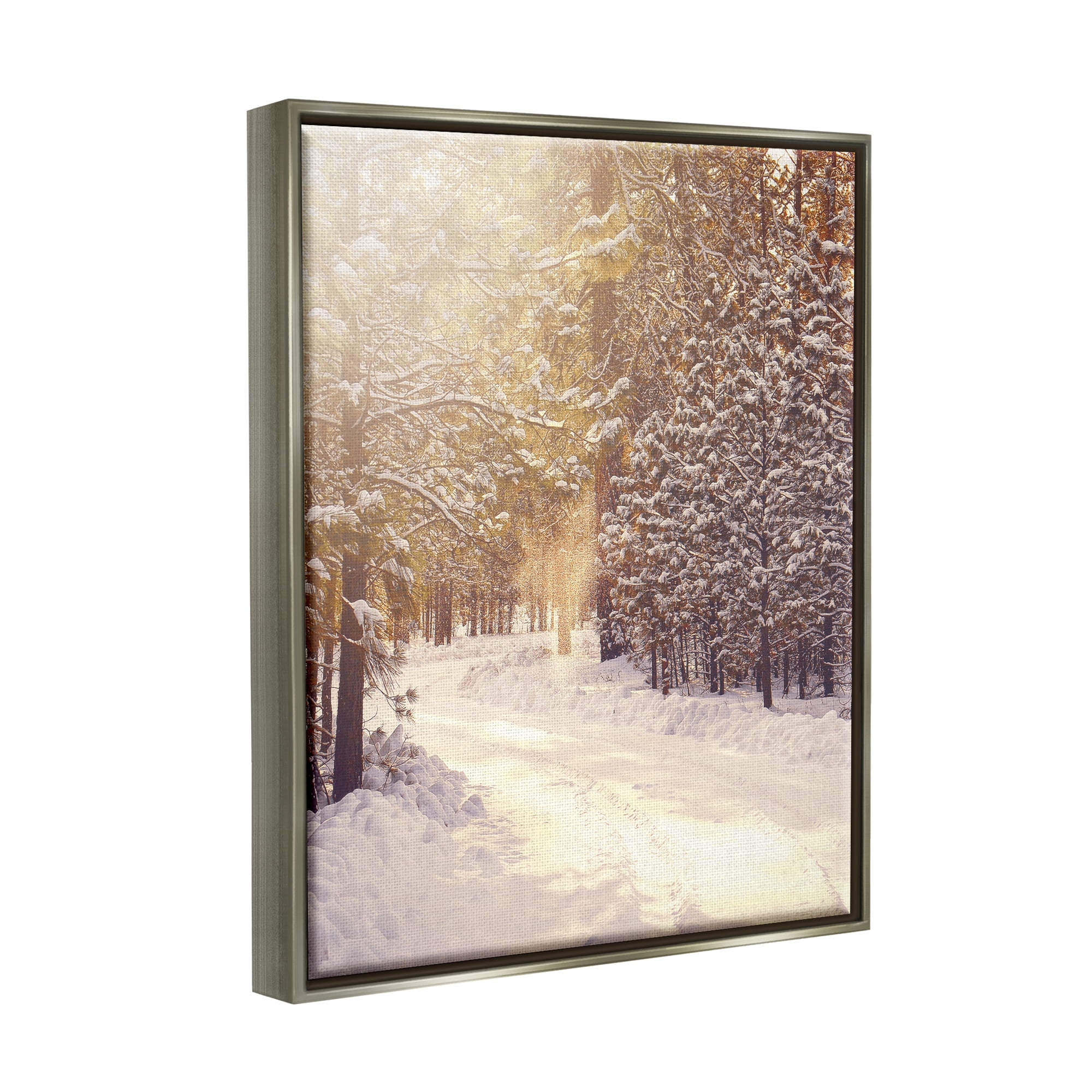 Stupell Industries Snowy Winter Path Nature Photography Gray Floater Framed Art Print Wall Art, 17 x 21