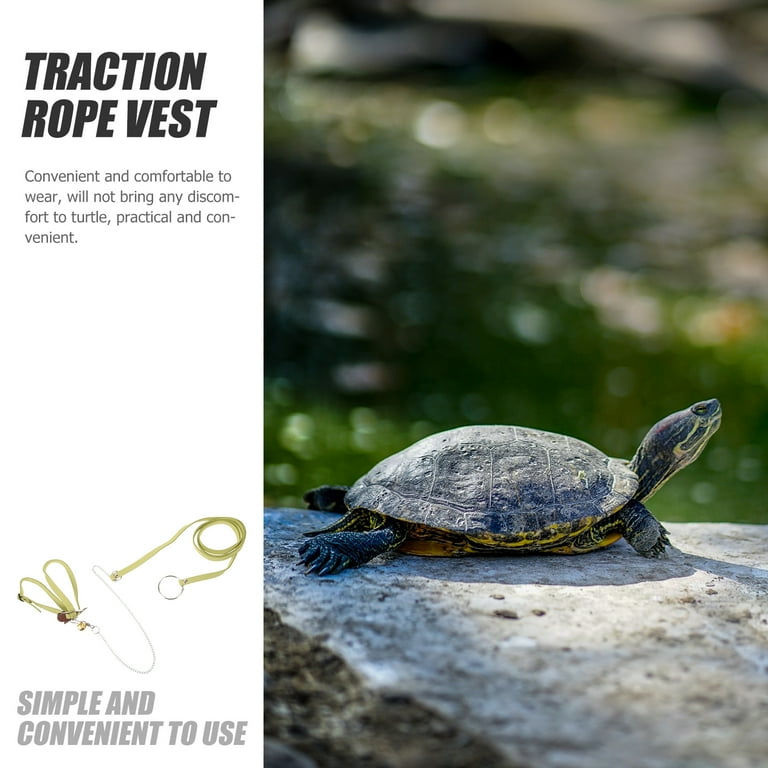 Tortoise harness and outlet leash