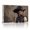 C, variant on XaaKee Wild Bloom Cowgirl Art Prints Oil Painting Splatter Western Style Fashion Portrait Canvas Wall Art Prints Inner Framed 18*12Inch