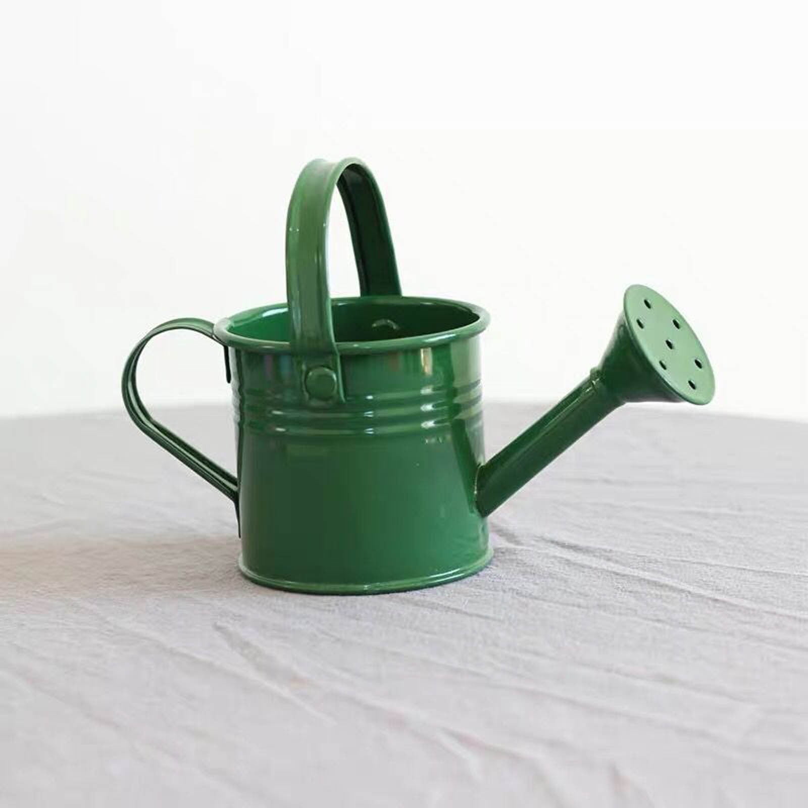 Metal Watering Can for Flower Watering Pot with Long Spout, Portable for Indoor and Outdoor Care, Home Garden Tool, Balcony, Patio, Greenhouse