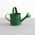 thumbnail image 3 of Watering Can Small Watering Can, 200ML Metal Watering Can for Outdoor Plants, Iron Kids Mini Watering Can for Garden Yarde Home Flower, 3 of 5