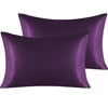 Eggplant Purple