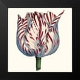 thumbnail image 2 of Vision Studio 15x15 Black Modern Framed Museum Art Print Titled - Tulip Garden VI, 2 of 5