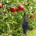 thumbnail image 3 of Realistic Hanging Dead Crow Decoy Lifesize Extra Black Feathered Crow, 3 of 5