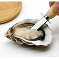 thumbnail image 4 of Stainless Steel Oyster Opener, Tool for Prying Oysters, Mussels & Scallops, Sharp Pointed Blade for Easy Opening, Ergonomic Handle for Secure Grip, 0.67*6.06in, 4 of 7