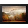 thumbnail image 2 of PHBurchett 18x13 Black Modern Framed Museum Art Print Titled - Photography Study Autumn Mist, 2 of 5