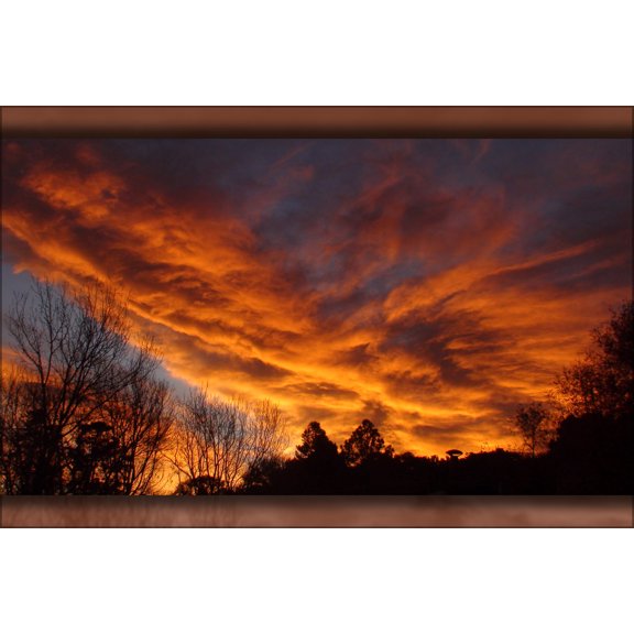 24"x36" Gallery Poster, Clouds that reflect the beautiful rays of the rising sun