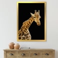thumbnail image 3 of Designart 'Portrait of A Giraffe On Black Background II' Farmhouse Framed Art Print, 3 of 4