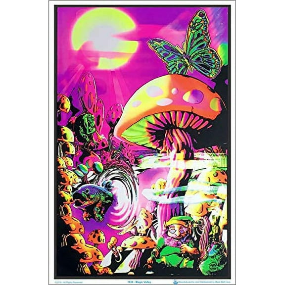 Magic Valley Laminated Blacklight Poster - 23.5" x 35.5"