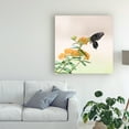 thumbnail image 3 of Trademark Fine Art 'Butterfly Portrait II' Canvas Art by PHBurchett, 3 of 3