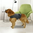 thumbnail image 4 of GASTROPOD 2026 New Thunder Jacket for Dogs Anxiety Relief, Dog Anxiety Vest Calming Care for Separation, Thunderstorm, Travel, Fireworks, Vet Visits, 4 of 7