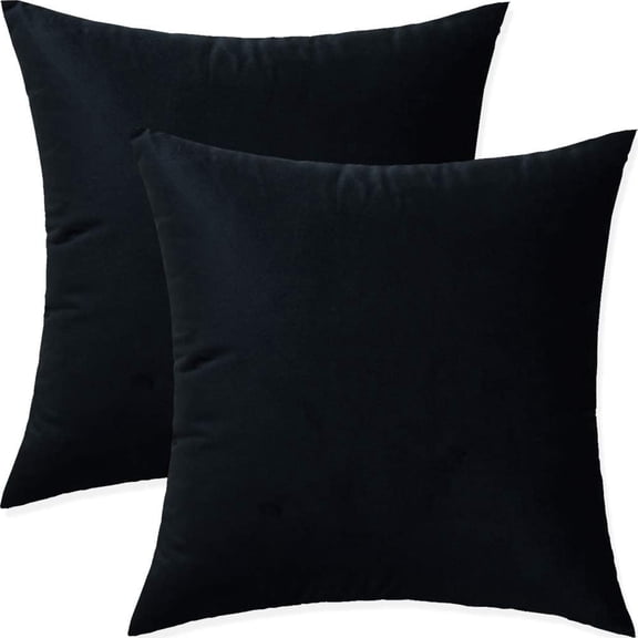 Cterwk Pack of 2 Soft Velvet Pillow Covers Square Decorative Cushion Covers for Couch Sofa Bed, 16x16 Inches