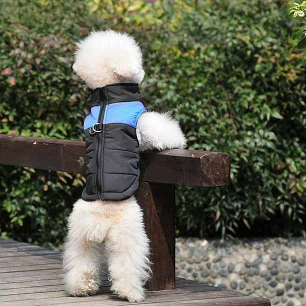 Small dog pet waterproof padded puffer vest coat d Ring jacket 3 colors xs Xl zulema none