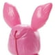 thumbnail image 2 of Barbie Skipper Babbysitters Club Dress Up Babies - GRP02 - Blue Eyed Baby Dressed in a Pink Bunny Outfit Barbie -, 2 of 7