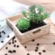 thumbnail image 4 of unbranded Para Pecera Con De Vidrio Decorativas Duraderas Para Acuarios En Casa, 4 of 8