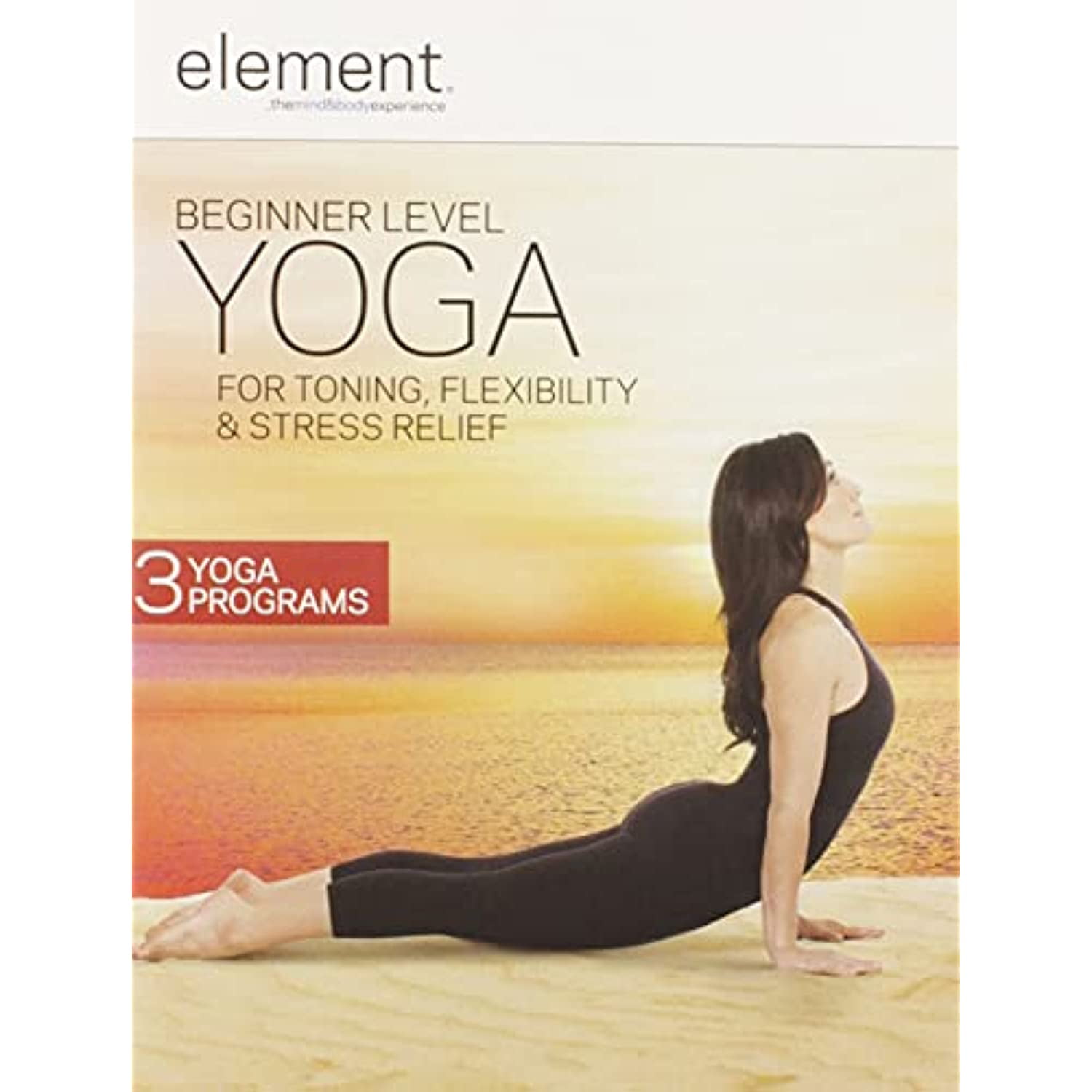 Lions Gate - Yoga Body Burn [DIGITAL VIDEO DISC] - Walmart.com