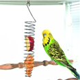 thumbnail image 2 of Comederos de frutas, 2 piezas Comedero de pájaros en espiral Accesorios de alimentación en jaula Comedero de frutas y verduras Cesta de pájaros para loros Comida para pájaros o animales pequeños para masticar y jugar. ER, 2 of 5