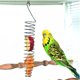 thumbnail image 2 of Comederos de frutas, 2 piezas Comedero de pájaros en espiral Accesorios de alimentación en jaula Comedero de frutas y verduras Cesta de pájaros para loros Comida para pájaros o animales pequeños para masticar y jugar. oso de fresa Electrónica, 2 of 5