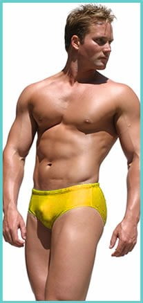 Costume Agent Hulkamania Wrestling Swimming Spandex Briefs Shorts 