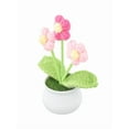 thumbnail image 4 of Bgsha Handwoven Wool Crochet Puff Flower Pot: A Timeless,Low-maintenance Home Decor!, 4 of 10