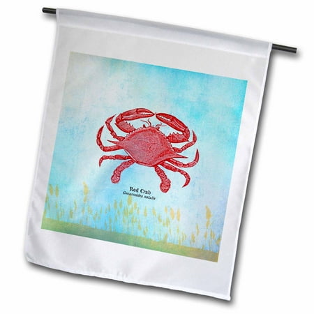 3dRose Red Crab- Seafood- Beach Theme Art - Garden Flag  12 by 18-inch