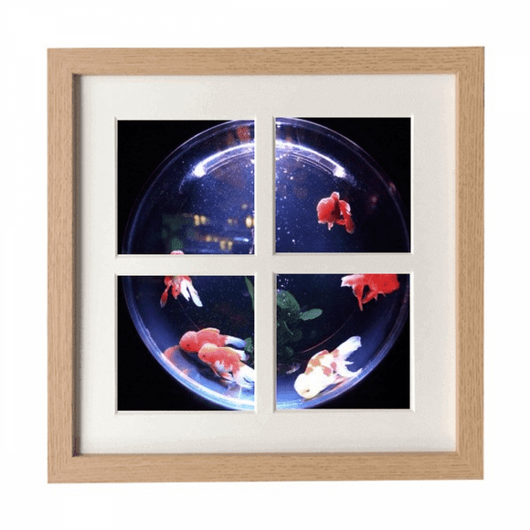 Ocean Colorful Fish Science Nature Picture Frame Wall Tabletop Display 4 Openings Picture