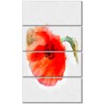 thumbnail image 2 of Large Red Poppy on White Back - Flower Artwork on Canvas, 2 of 3