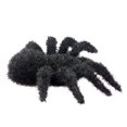 thumbnail image 3 of Arañas peludas realistas, 5 piezas Arañas peludas realistas de Halloween Arañas peludas de Halloween Arañas aterradoras de Halloween Calidad en la que puede confiar, 3 of 9