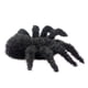 thumbnail image 3 of Arañas peludas de Halloween Jadeshay 5 piezas Arañas peludas realistas Arañas aterradoras de Halloween, 3 of 9