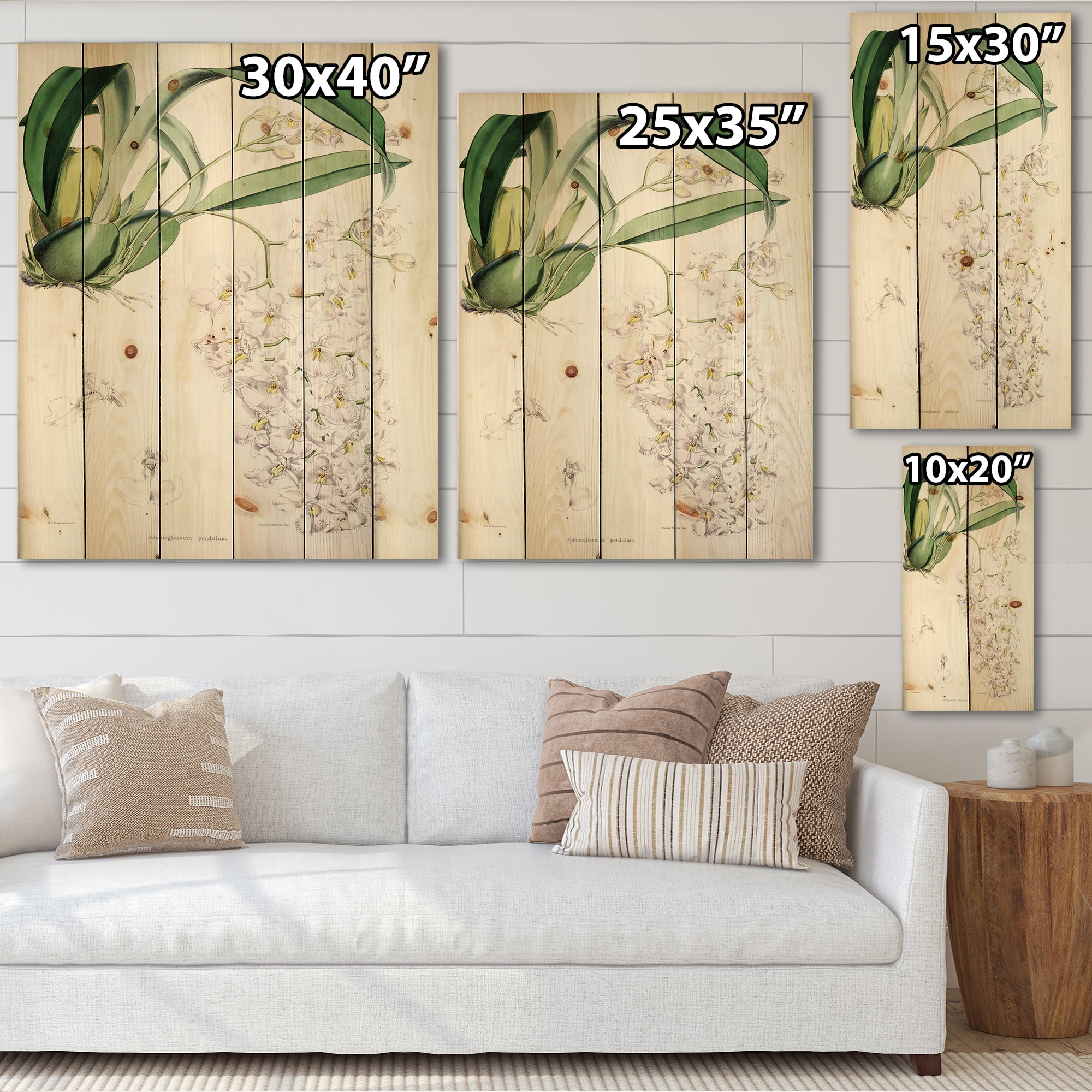 Designart 'Ancient White Orchid II' Traditional Print on Natural Pine Wood
