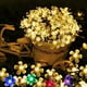 thumbnail image 1 of Encendiendo 50LED 9.5m Solar Cherry Blossom String Light Lámpara decorativa (blanco cálido) Wdftyju Para estrenar, 1 of 9