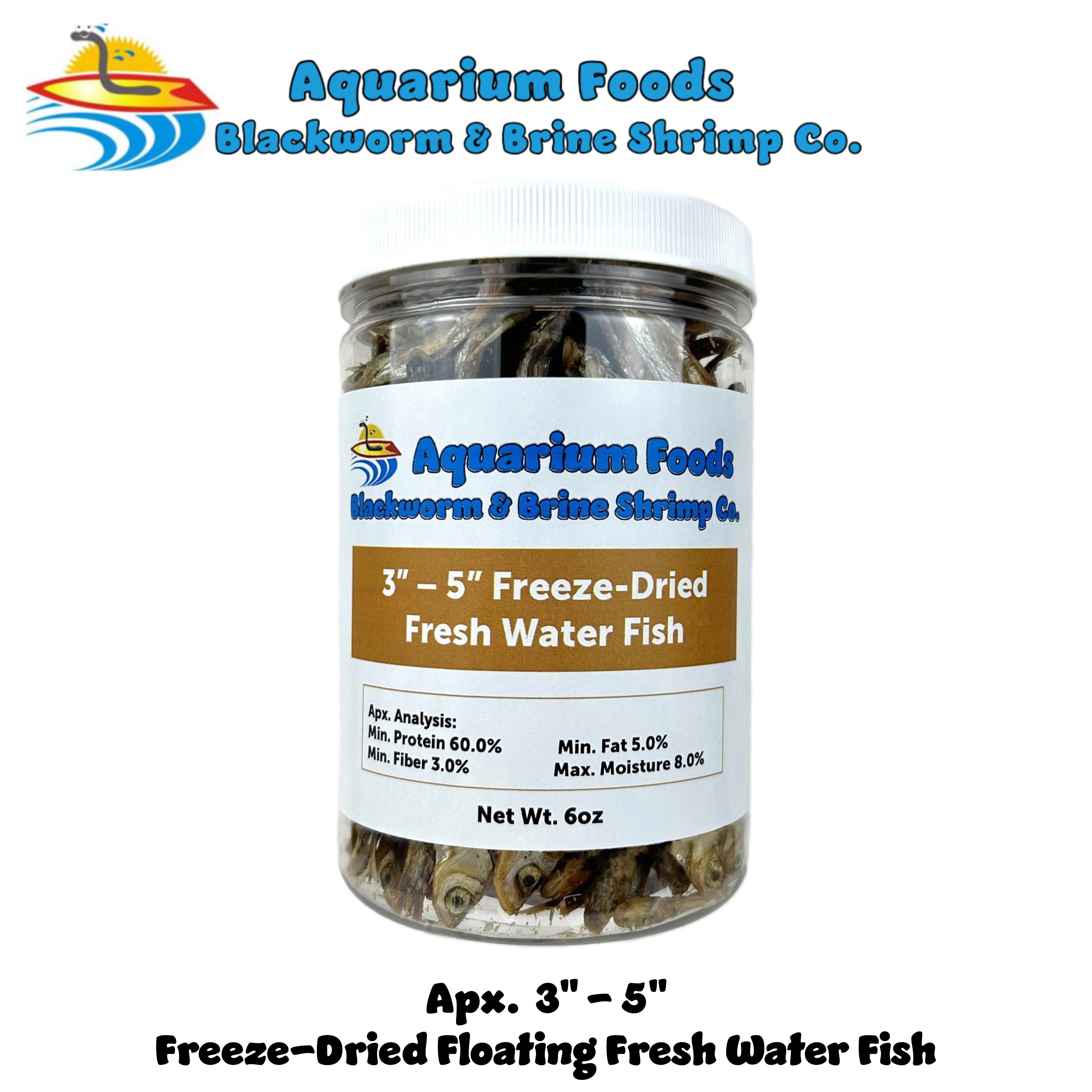 3"- 5" Freeze Dried Fresh Water Fish for Piranhas Large Fish, Land and Aquatic Turtles, Rodents, Reptiles, Lizards, Cat Treats - 6oz Lg Round Jar