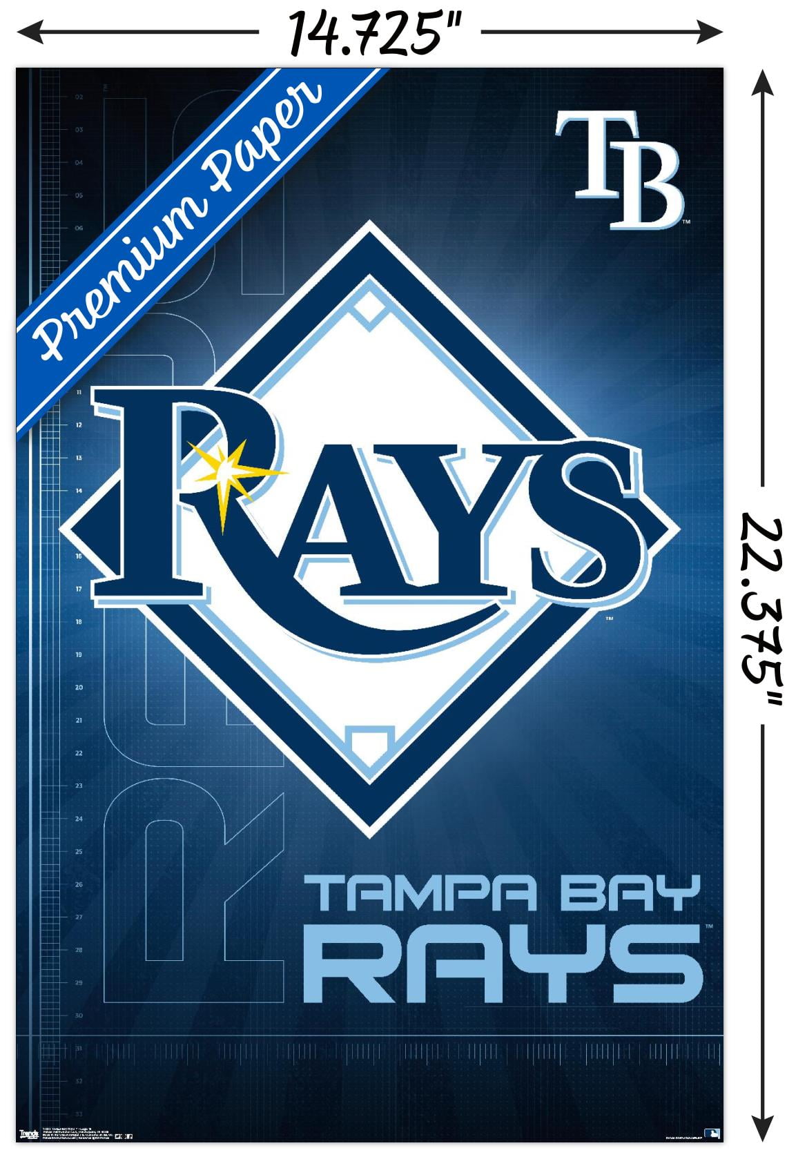 Tampa Bay Rays Iphone Wallpaper