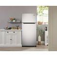 thumbnail image 2 of Epic 20.2 cu.ft. Stainless Steel Frost Free Refrigerator, 2 of 2