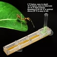thumbnail image 3 of Acrylic Ants Breeding Transparent Breeding Box, Formicarium Display Box Ant Breeding Box Acrylic Ant Breeding Ant Farm House Ant Display Box, 3 of 7