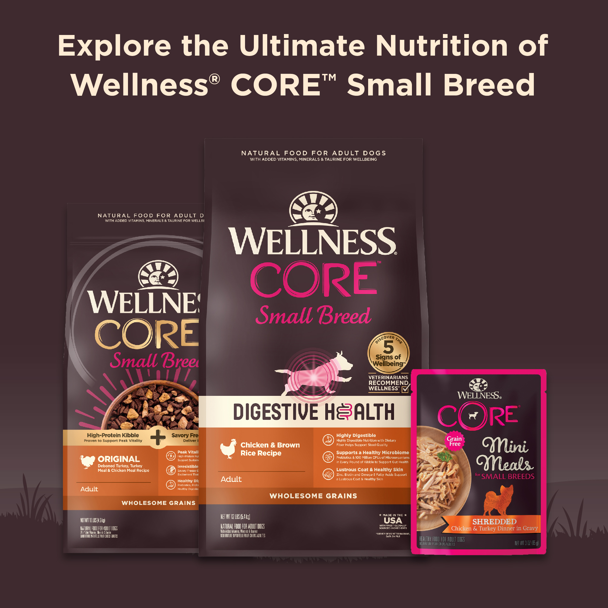 Wellness CORE Mini Meals Shredded Chicken & Turkey, 12 Pack photo 8