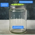 thumbnail image 5 of Fermentation Lids for Wide Mouth Mason Jars - One Way Waterless Airlock Valve - BPA-Free, Self-Burping Silicone Lids, 4 Pack (Blue, Red, Green, Purple), 5 of 5