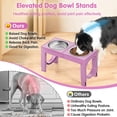 thumbnail image 3 of Cuencos elevados para perros XiAz de acero inoxidable de raza grande, 5 alturas, 3 of 8