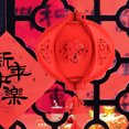 thumbnail image 2 of 2pcs Chinese Lantern Hand-made Felt Lantern Pendant Festive Hanging Chinese Lantern Decor, 2 of 6