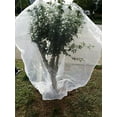 thumbnail image 2 of Agfabric Bird Netting Insect Barrier Garden Plant Cover, 2 of 3