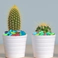 thumbnail image 3 of 400-Piece Colorful Glow in the Dark Garden Stones, Luminous Pebbles for Walkways, Fish Tanks, Flower Beds & Backyard Landscaping, Solar-Powered, 3 of 8
