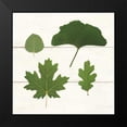 thumbnail image 2 of Wild Apple Portfolio 20x20 Black Modern Framed Museum Art Print Titled - Leaf Chart V Shiplap, 2 of 5