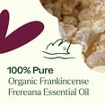thumbnail image 5 of Plant Therapy Frankincense Frereana Organic Essential Oil 100% Pure, USDA Certified Organic, Undiluted 10 mL (1/3 oz), 5 of 8
