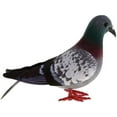 thumbnail image 1 of 3pcs Simulation Foam Pigeon Model,Artificial Imitation Animal Fake Pigeon Home Garden Ornament Miniature Decoration, 1 of 7