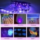 thumbnail image 3 of Cinta de lámpara púrpura del esterilizador de desinfección impermeable del LED para el enchufe . UU. de la de baile Yinane Lámpara de cadena UV LED, 3 of 8