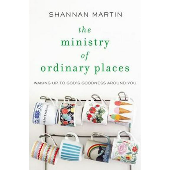Pre-Owned The Ministry of Ordinary Places: Waking Up to God's Goodness Around You (Paperback) 0718077482 9780718077488