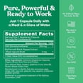 thumbnail image 4 of EU Natural DIM Puro 200 mg Suplemento de Bienestar Hormonal 60 Cápsulas, 4 of 4