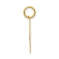 thumbnail image 2 of 14k Yellow Gold Satin Brush Finish Medium Size Number 34 Charm Pendant, 2 of 2