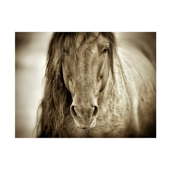 Trademark Fine Art Lisa Dearing Mustang Sally Horse Canvas Wall Art - 14x19