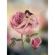 thumbnail image 3 of Cuadros Decorativos Diamante pintura diamante cuadrado bricolaje y flor Ndcxsfigh Nuevos Originales, 3 of 9